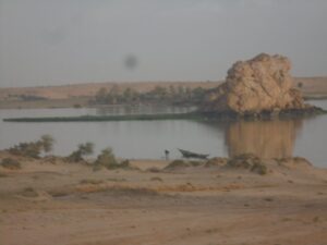 Actualisation des études d’impact environnemental et social du projet d’aménagement de Taoussa