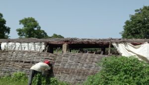 Pré-étude d’impact environnemental et social du projet de construction d’une centrale solaire de 100 MWc à Makono (2022)