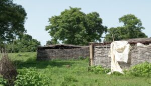 Pré-étude d’impact environnemental et social du projet de construction d’une centrale solaire de 100 MWc à Makono (2022)