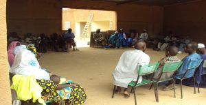 2011 - Etudes du Plan d’Action et Réinstallation des travaux d’aménagements de la plaine du village de Diambacourou dans la région de Mopti