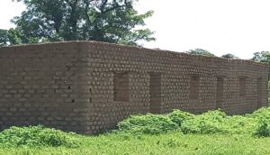 Pré-étude d’impact environnemental et social du projet de construction d’une centrale solaire de 100 MWc à Makono (2022)