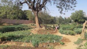 2021 - Actualisation du PAR du projet de drainage de Bamako (Marigot de Tienkolé et Woyowoyanko)