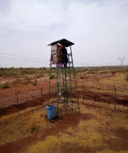 Audit de vérification de conformité environnementale et sociale des activités de la centrale solaire de 50 MWc d’AKUO ENERGIES à Kita (2025)