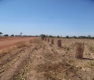 2019 - Travaux d’aménagement de 241,85 km de pistes rurales dans la région de Sikasso, lot 2  RN 12-Konseguela-K